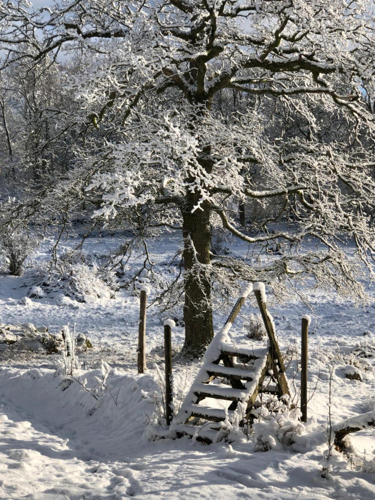 Oevra Berg * Ullared